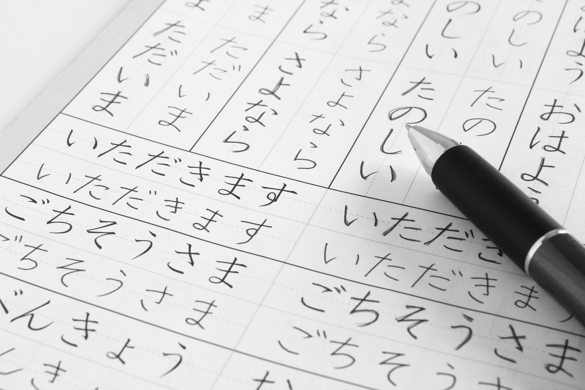 Japanese Language Course