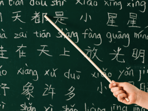 Chinese Language Course